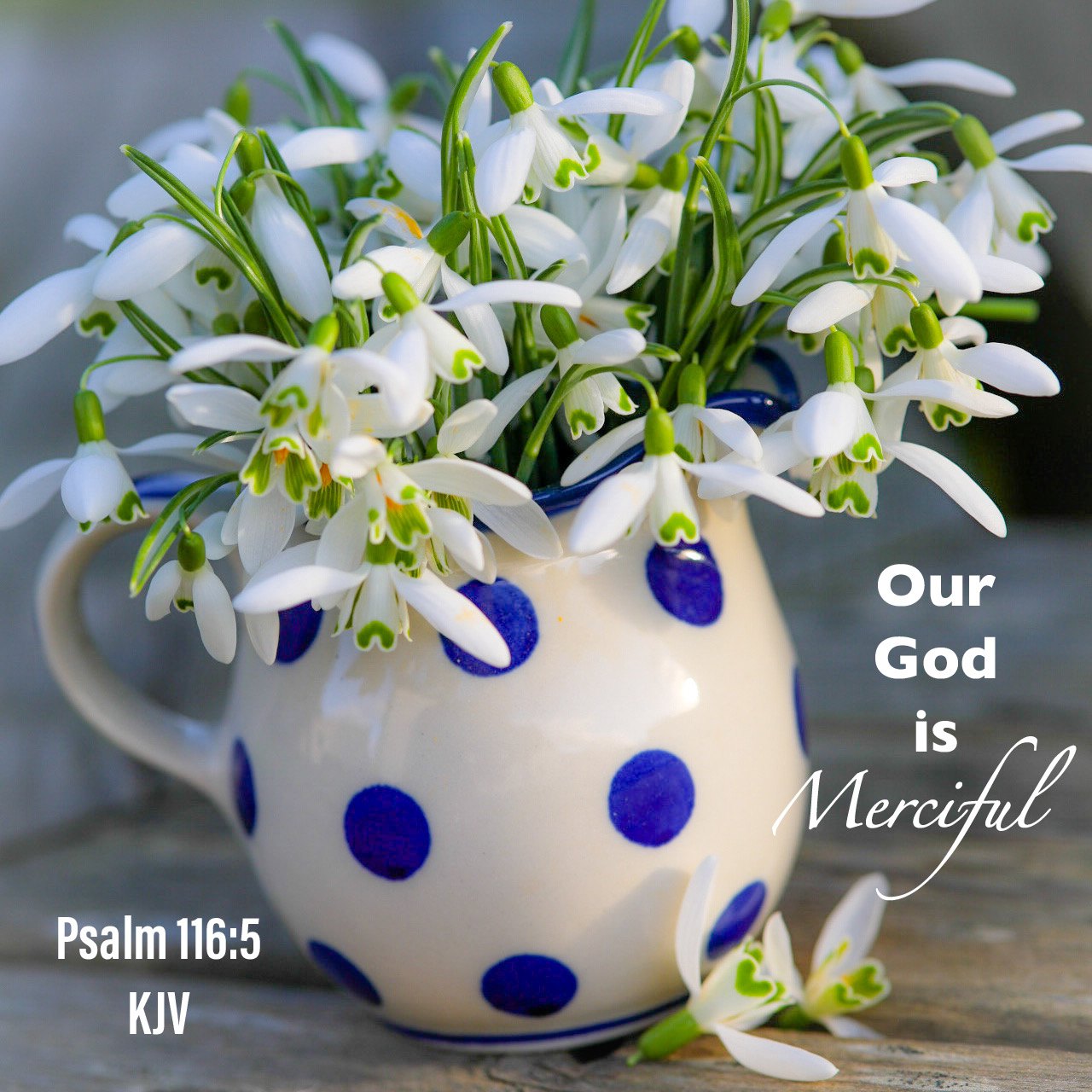 Snowdrops in a spotted jug Scripture Encouragement Card