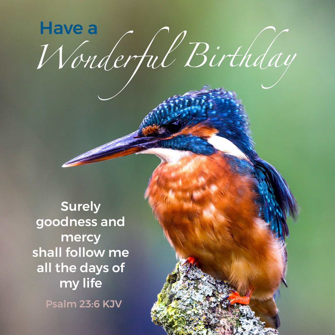 Kingfisher Scripture Birthday Card