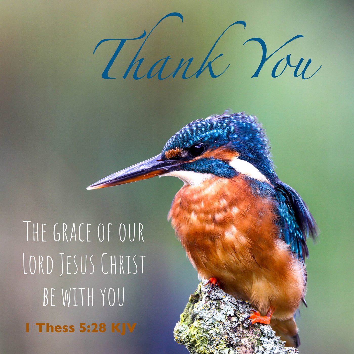 Thank You