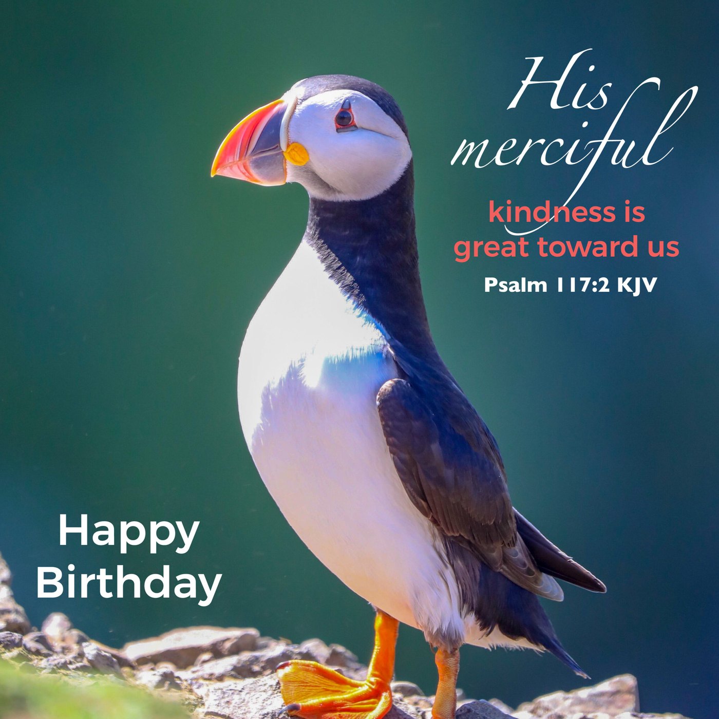Puffin Scripture Birthday Card