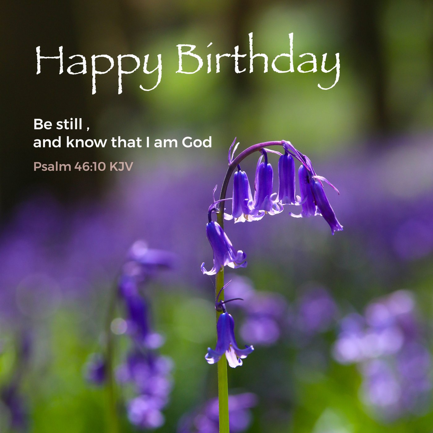Bluebells Scripture Birthday Card