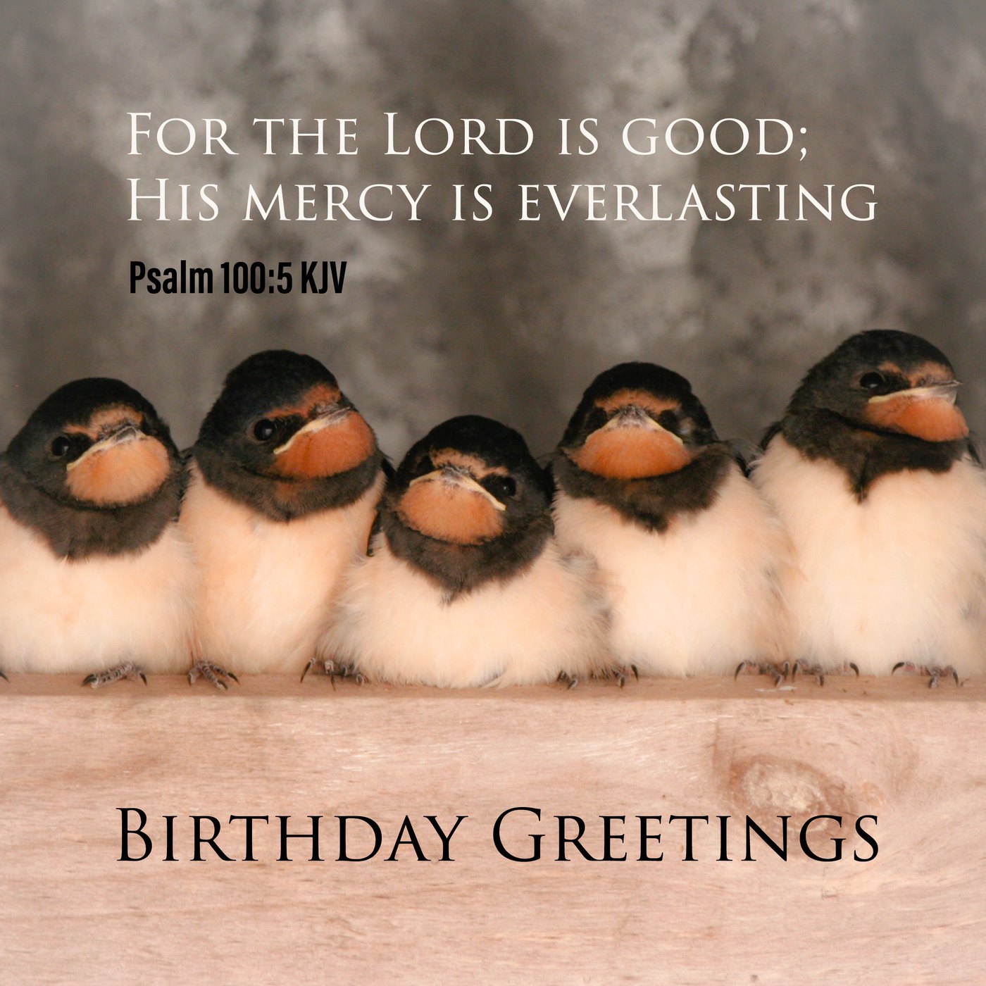 5 Swallows in a row Scripture Birthday Card
