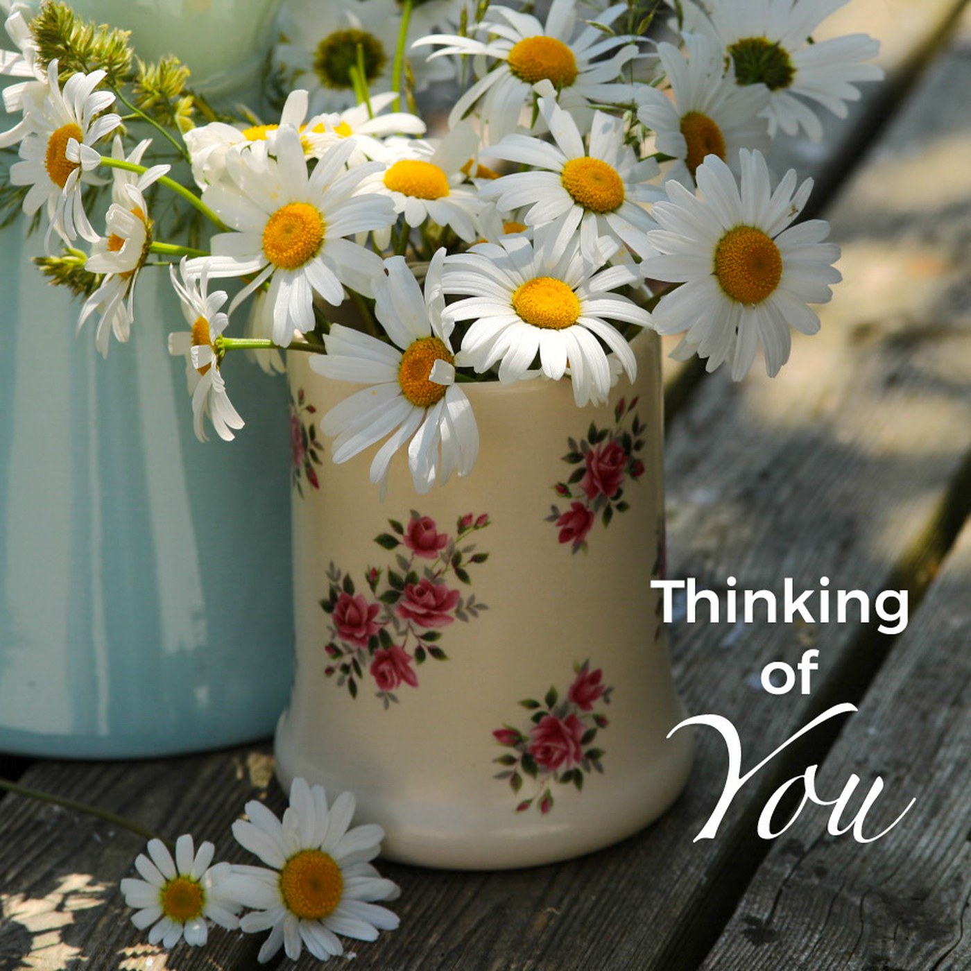 Daisies Thinking of You Card