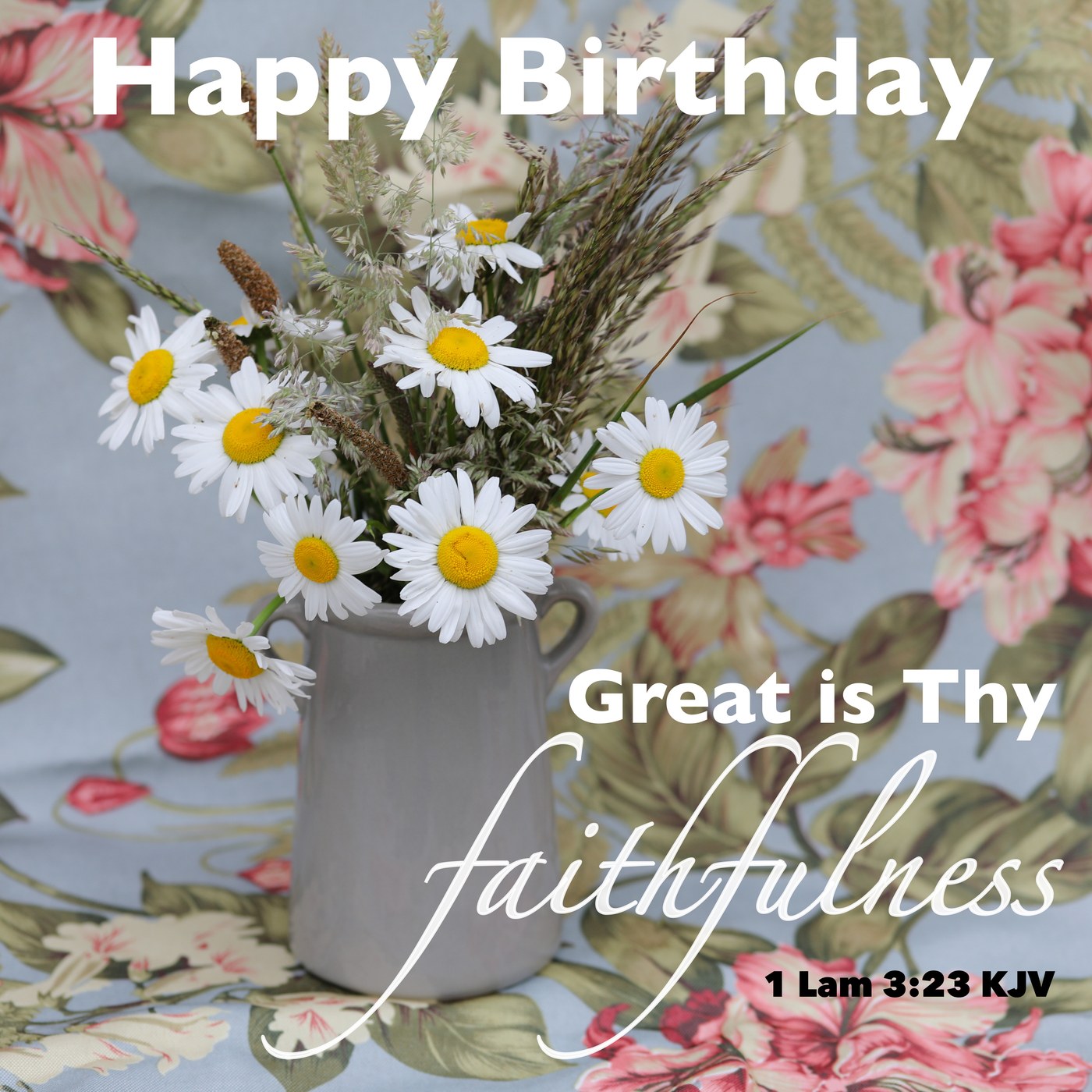 Daisies and grasses Scripture Birthday Card