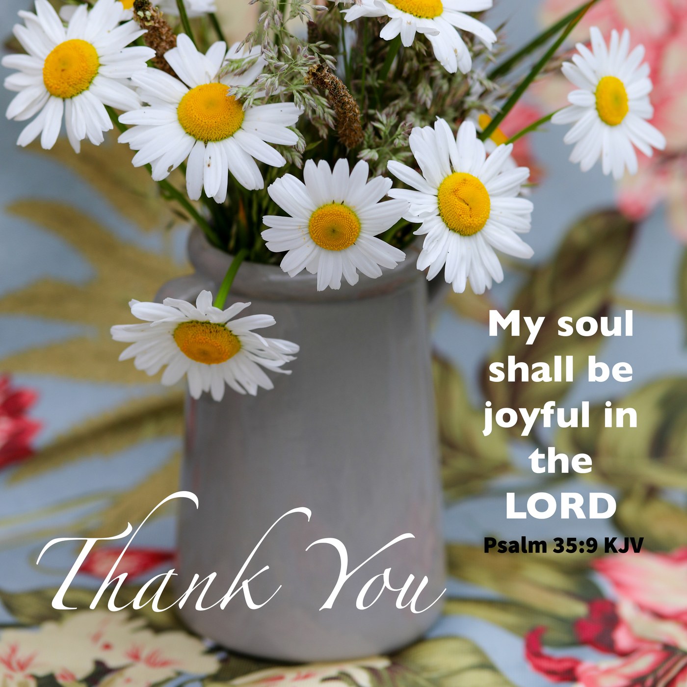 Daisies Scripture Thank You Card