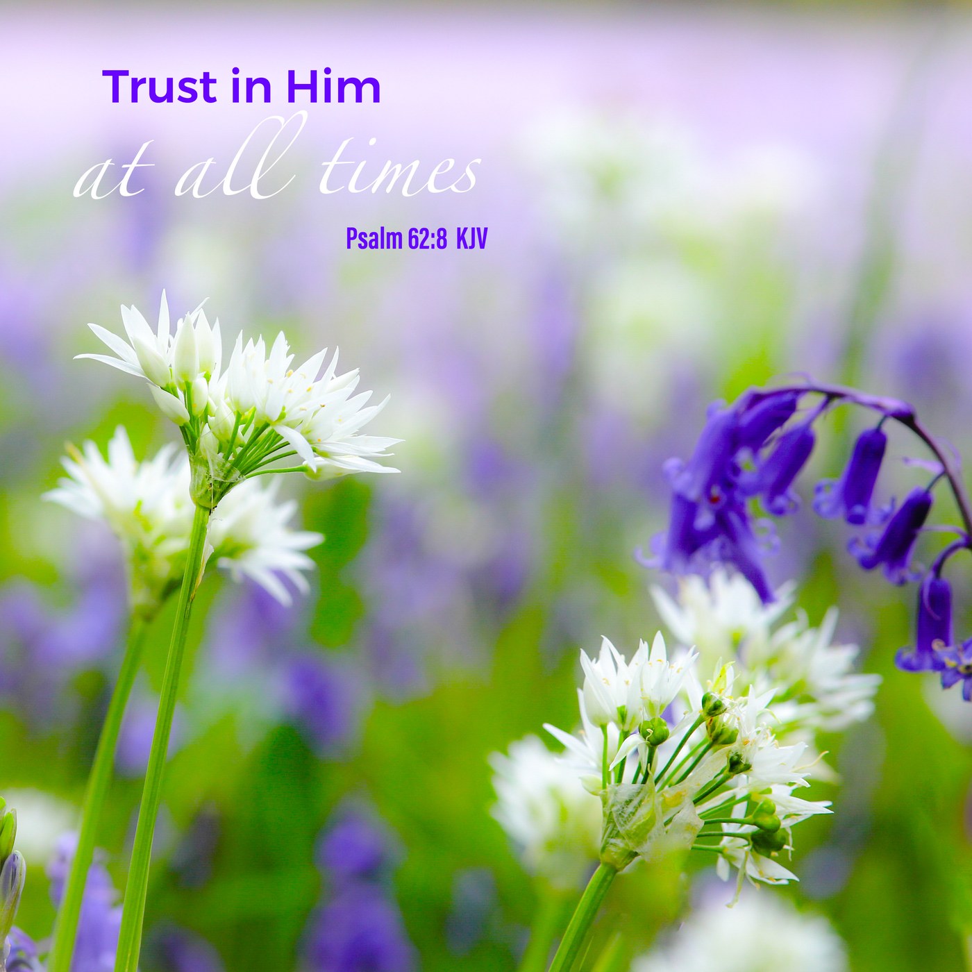 Wild garlic and bluebells Scripture Encouragement Card